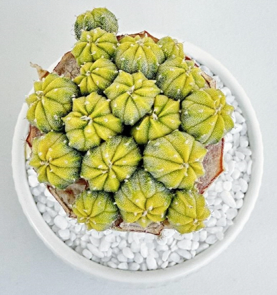 네온팝/사진제공=경기도